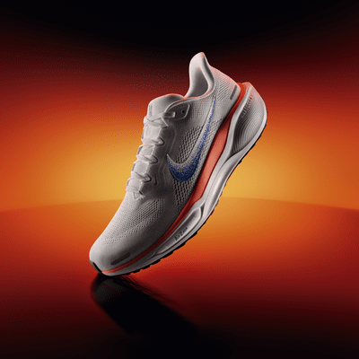 Nike Pegasus 41 Plan